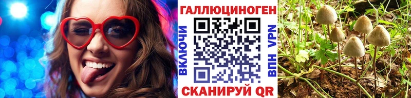 Галлюциногенные грибы GOLDEN TEACHER  купить наркотик  Енисейск 